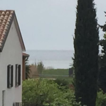 Apartment, 200M From Sea Brtonigla Zewnętrze zdjęcie