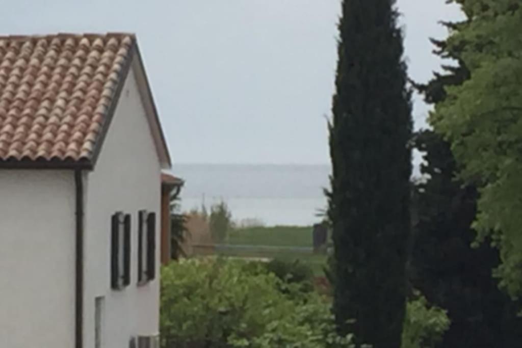 Apartment, 200M From Sea Brtonigla Zewnętrze zdjęcie